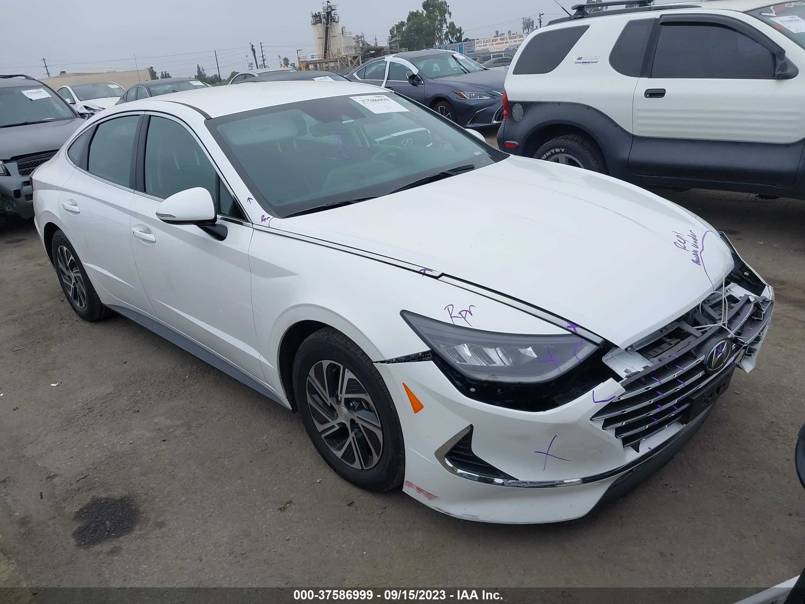 HYUNDAI SONATA 2020 kmhl24jjxla013631