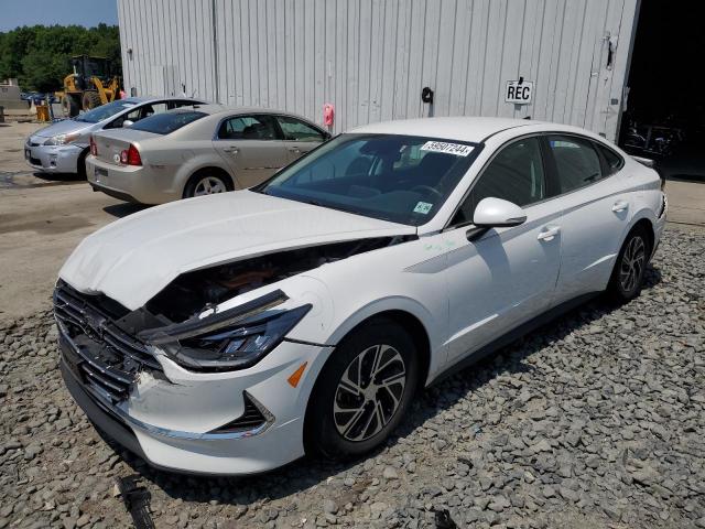 HYUNDAI SONATA 2021 kmhl24jjxma033590