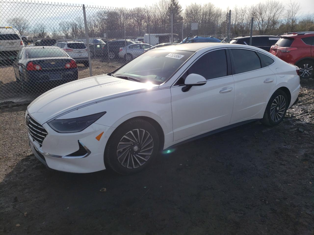 HYUNDAI SONATA 2023 kmhl34jj3pa066416