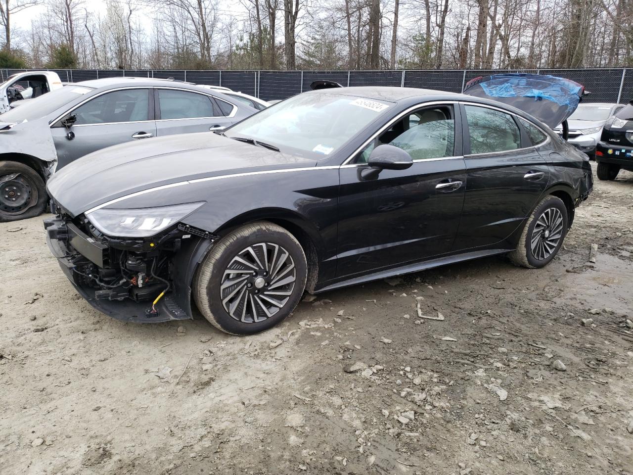 HYUNDAI SONATA 2023 kmhl34jj6pa057970