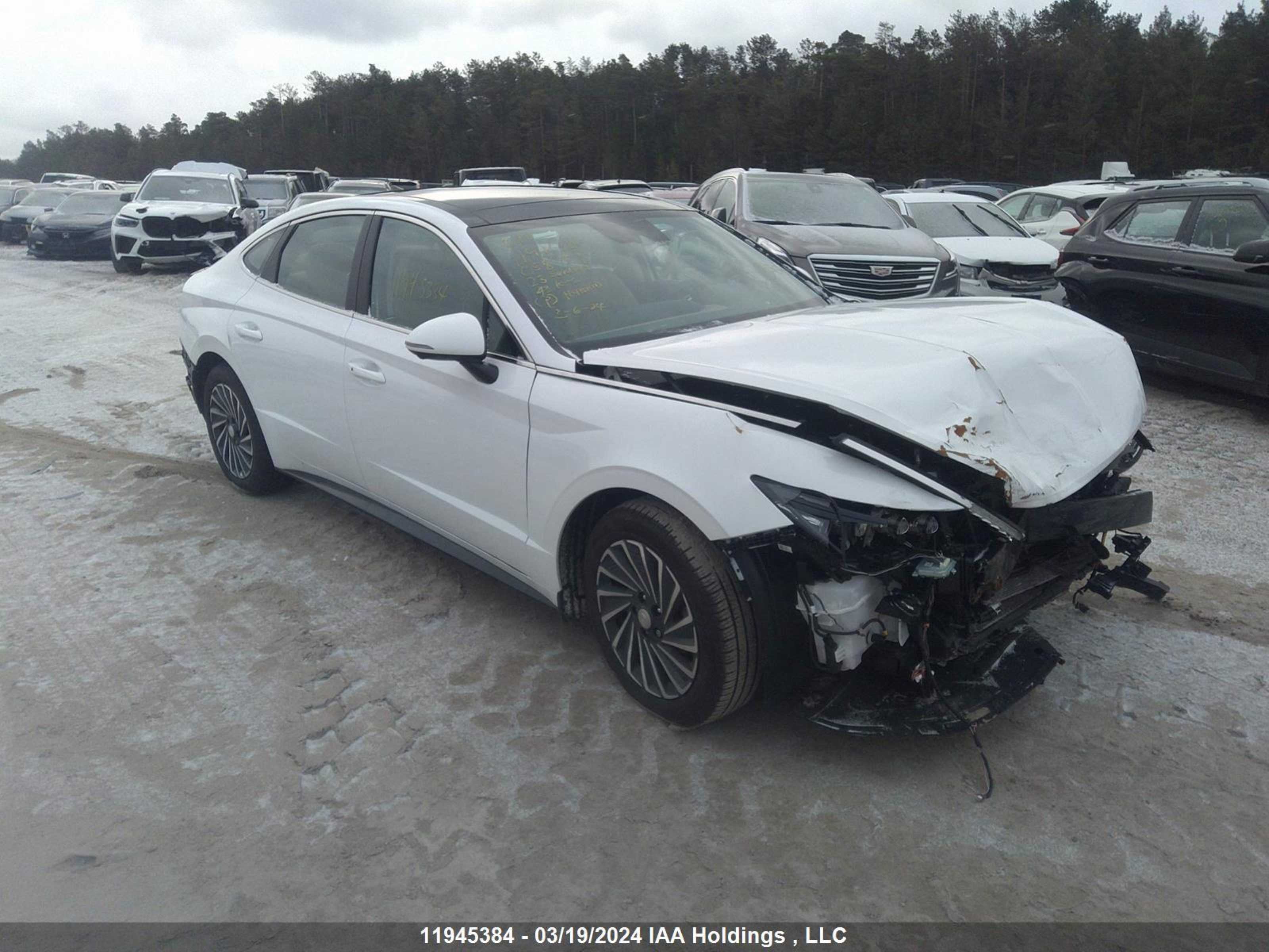 HYUNDAI SONATA 2023 kmhl34jj7pa058951