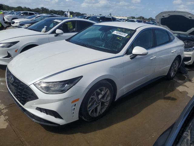 HYUNDAI SONATA SEL 2022 kmhl64ja2na167659