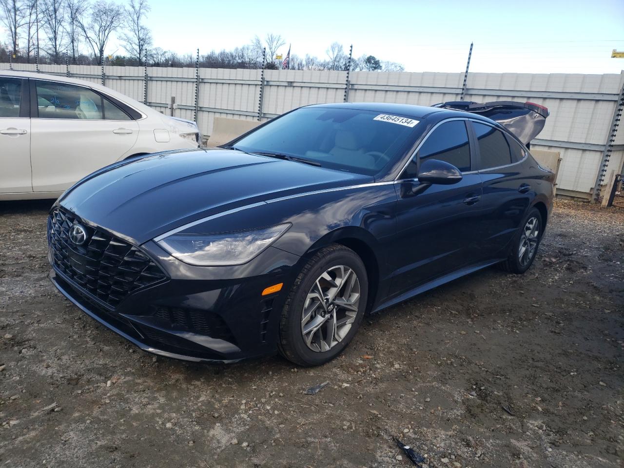 HYUNDAI SONATA 2023 kmhl64ja6pa333099