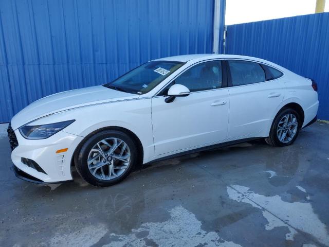 HYUNDAI SONATA 2023 kmhl64ja7pa318353