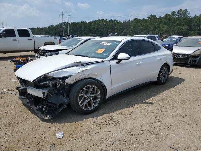 HYUNDAI SONATA SEL 2023 kmhl64ja8pa282141