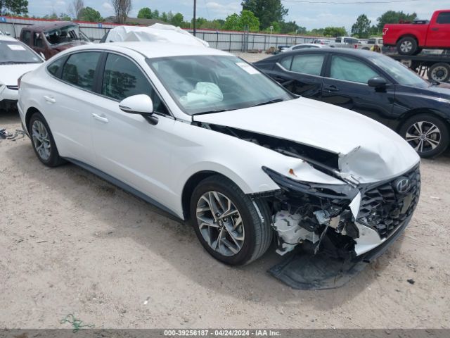 HYUNDAI SONATA 2023 kmhl64jaxpa247312