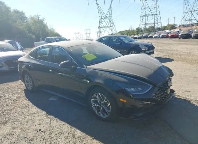 HYUNDAI SONATA 2023 kmhl64jaxpa253546