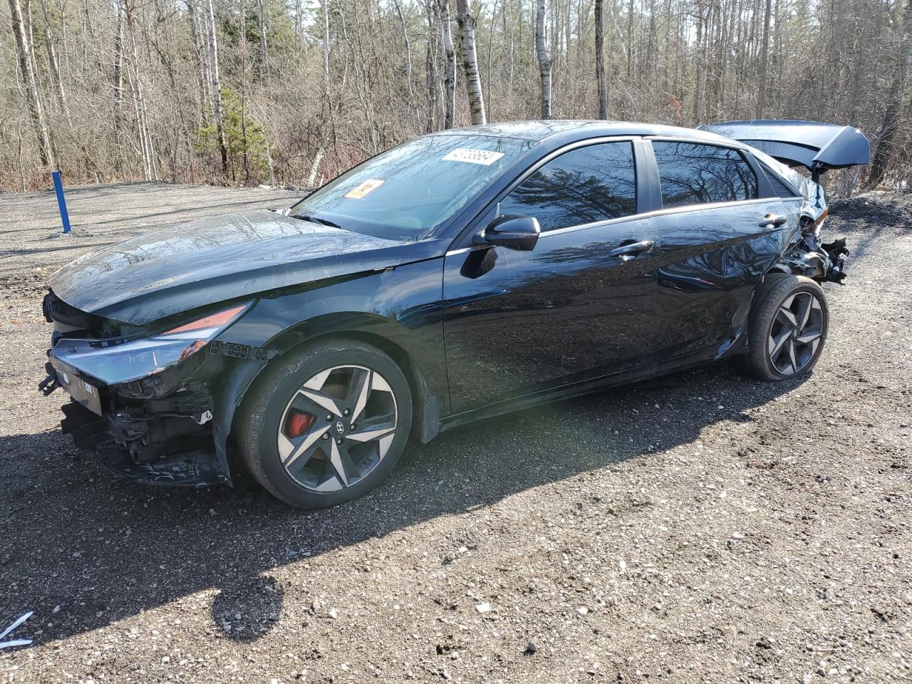 HYUNDAI ELANTRA 2022 kmhln4ag7nu286958