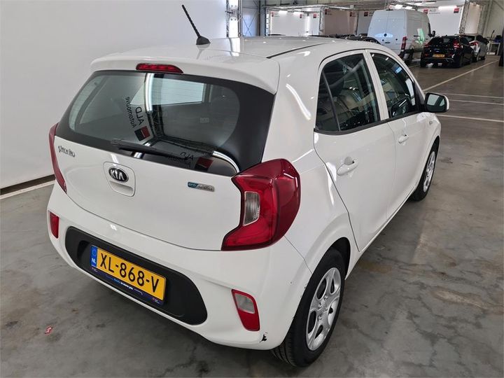 KIA PICANTO 2019 knab2511ajt242063