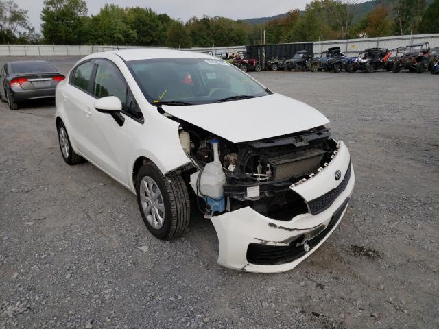 KIA NULL 2016 knadm4a34g6659855