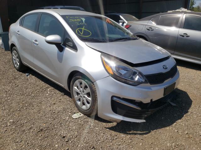 KIA RIO LX 2016 knadm4a35g6642465