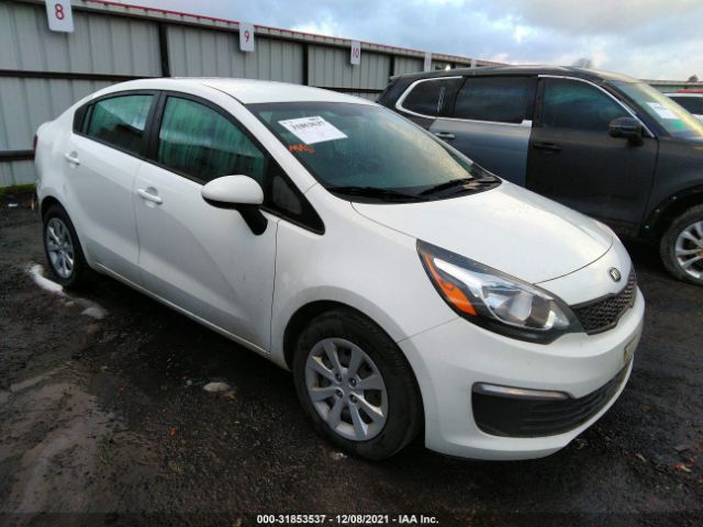 KIA RIO 2017 knadm4a38h6117644