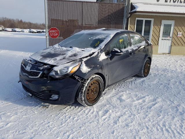 KIA RIO 2014 knadn4a37e6390583