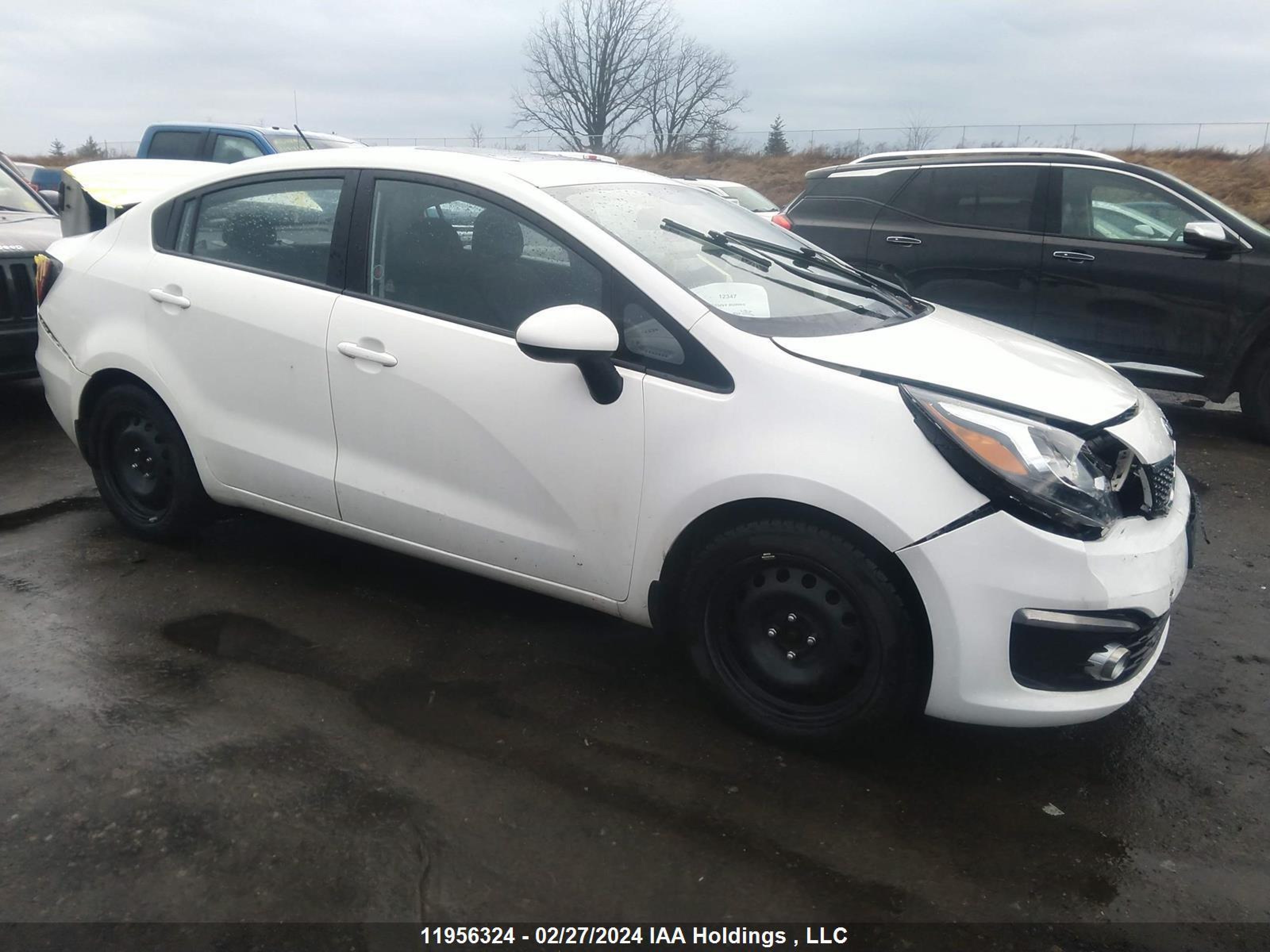 KIA RIO 2017 knadn4a38h6113249