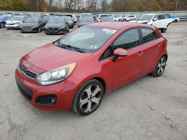 KIA RIO EX 2013 knadn5a39d6134398