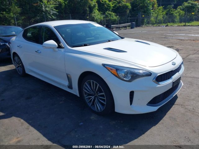 KIA STINGER 2019 knae15la3k6051171