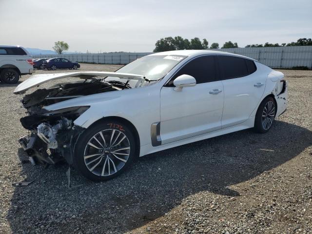 KIA STINGER 2019 knae15la3k6052157