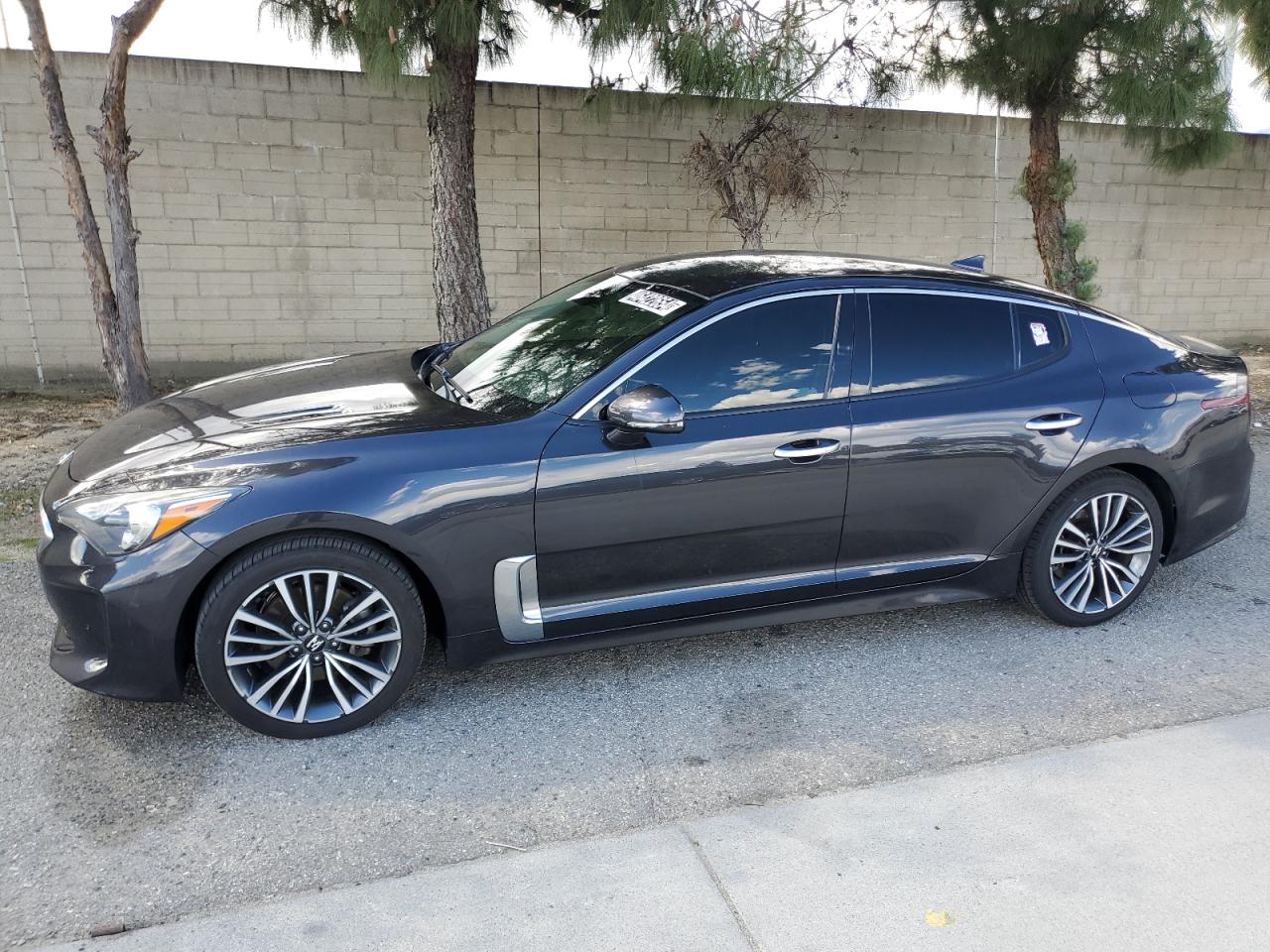 KIA STINGER 2019 knae15la9k6047674