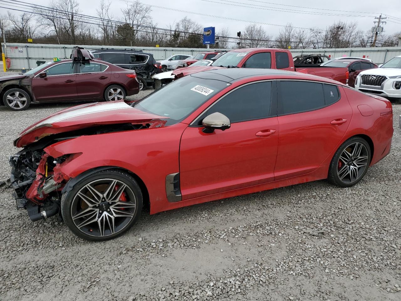 KIA STINGER 2022 knae55lc1n6100538