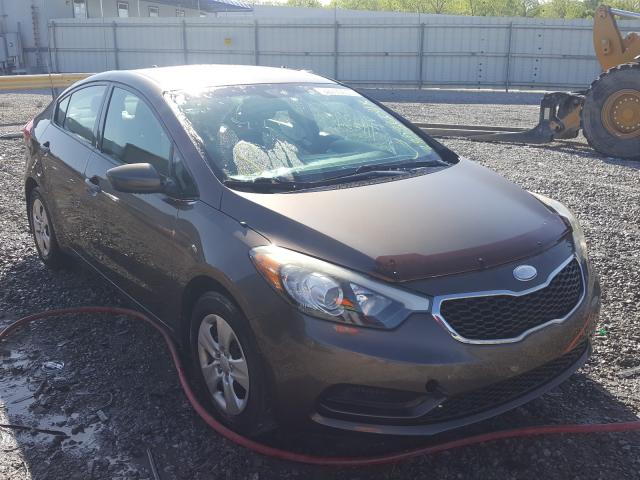 KIA FORTE LX 2014 knafk4a60e5061743