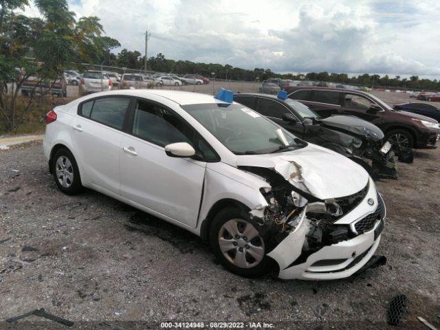 KIA FORTE 2014 knafk4a60e5061967