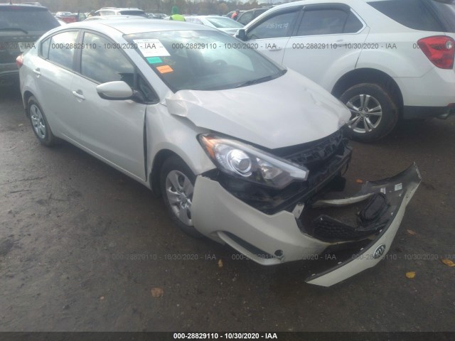 KIA FORTE 2014 knafk4a60e5088702