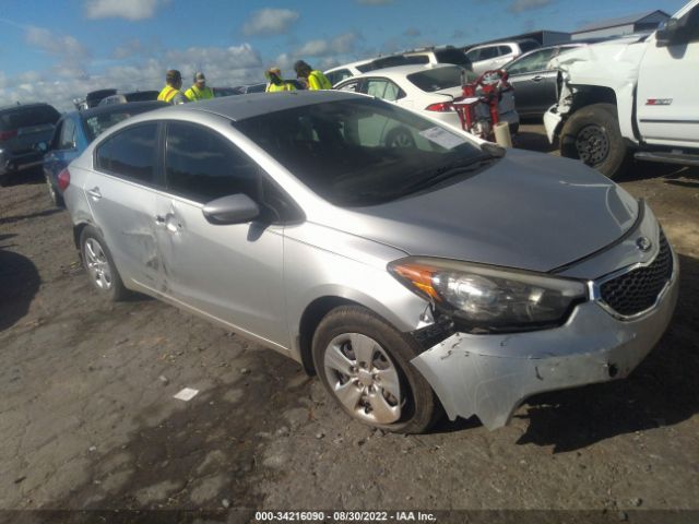 KIA FORTE 2015 knafk4a60f5259241