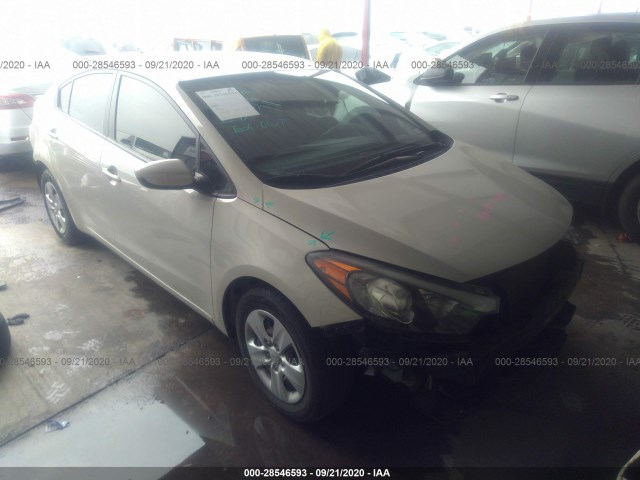 KIA FORTE 2015 knafk4a60f5380285