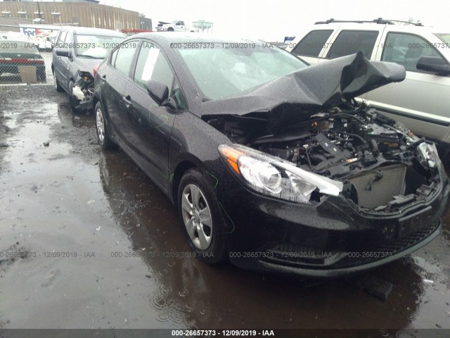 KIA FORTE 2016 knafk4a60g5530994