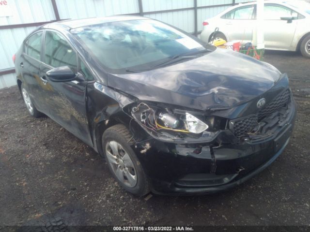 KIA FORTE 2014 knafk4a61e5075490