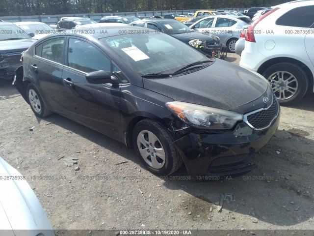 KIA FORTE 2014 knafk4a61e5137728