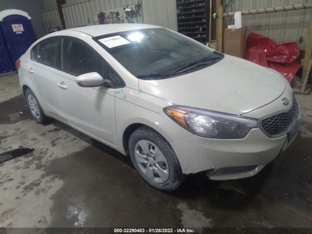 KIA FORTE 2014 knafk4a61e5139270