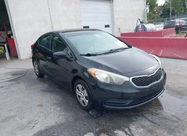 KIA FORTE 2014 knafk4a61e5141228