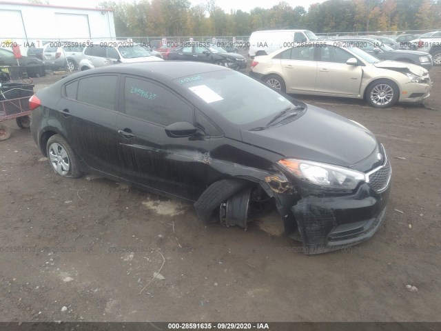 KIA FORTE 2014 knafk4a61e5149233