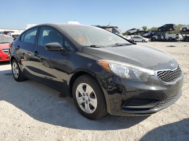 KIA FORTE 2014 knafk4a61e5171166