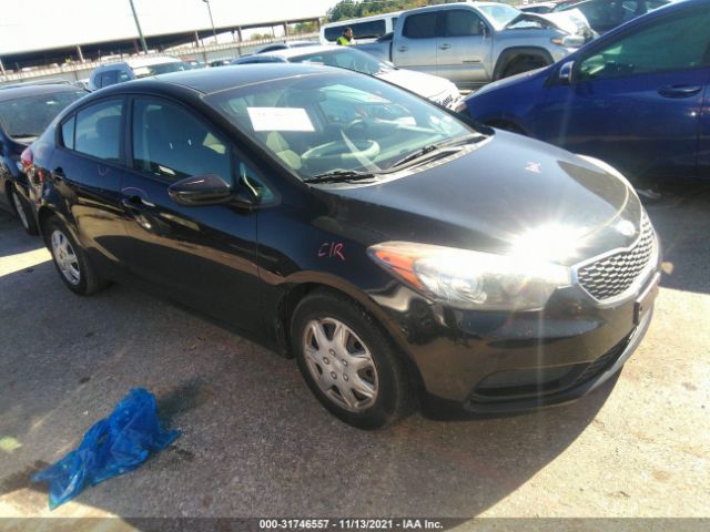 KIA FORTE 2014 knafk4a61e5175878