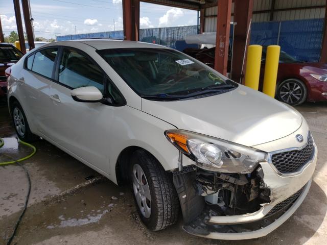 KIA FORTE LX 2014 knafk4a61e5189229