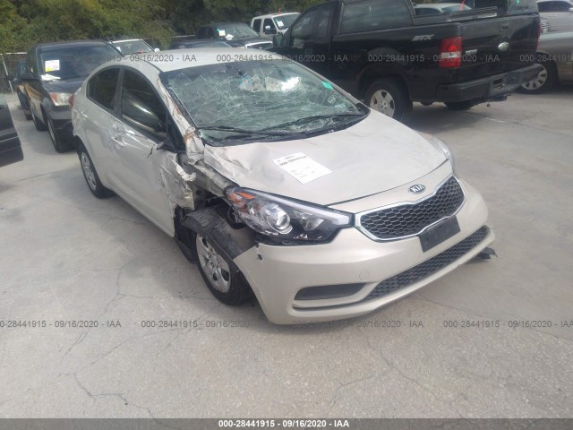 KIA FORTE 2015 knafk4a61f5373443