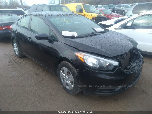 KIA FORTE 2015 knafk4a61f5419725