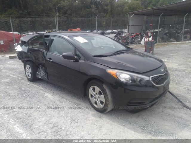 KIA FORTE 2015 knafk4a61f5433091