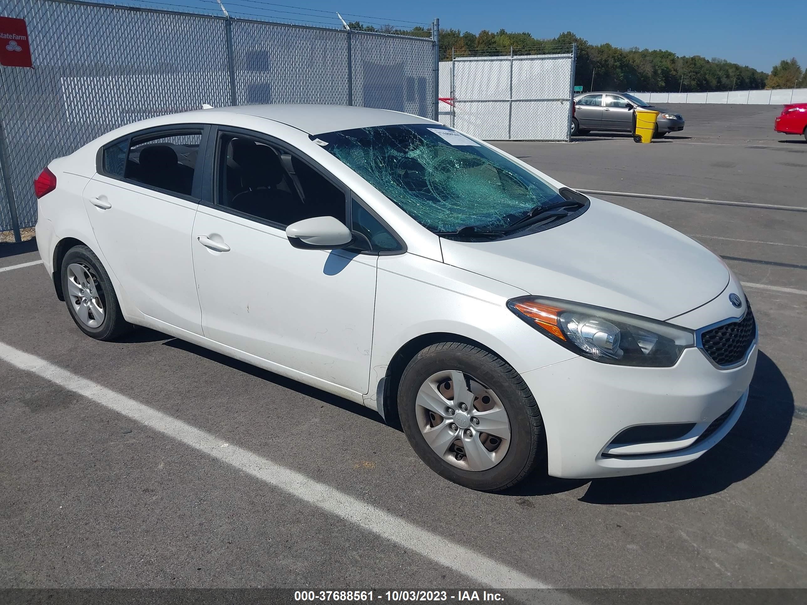 KIA FORTE 2014 knafk4a62e5072209