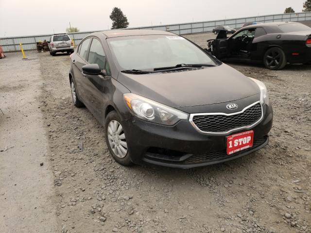 KIA FORTE LX 2014 knafk4a62e5092864