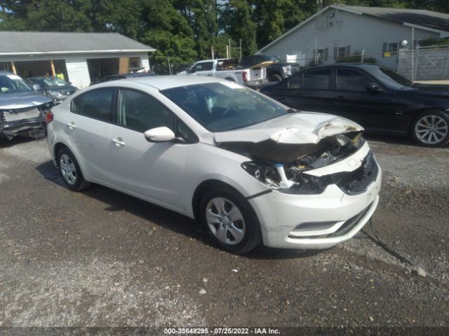 KIA FORTE 2014 knafk4a62e5115818