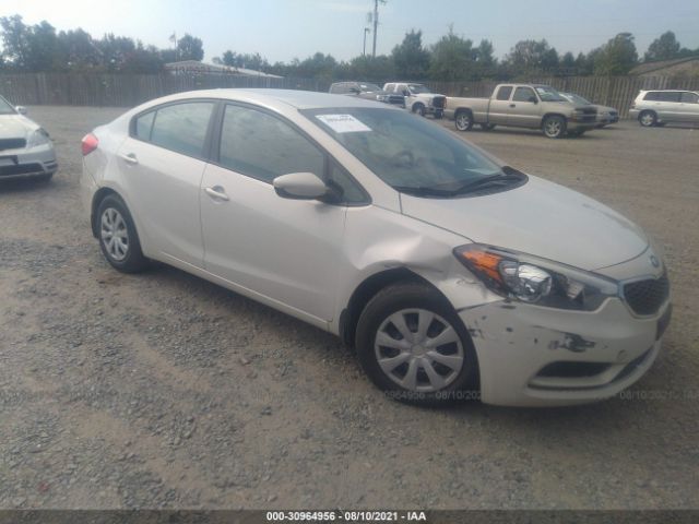 KIA FORTE 2014 knafk4a62e5141559