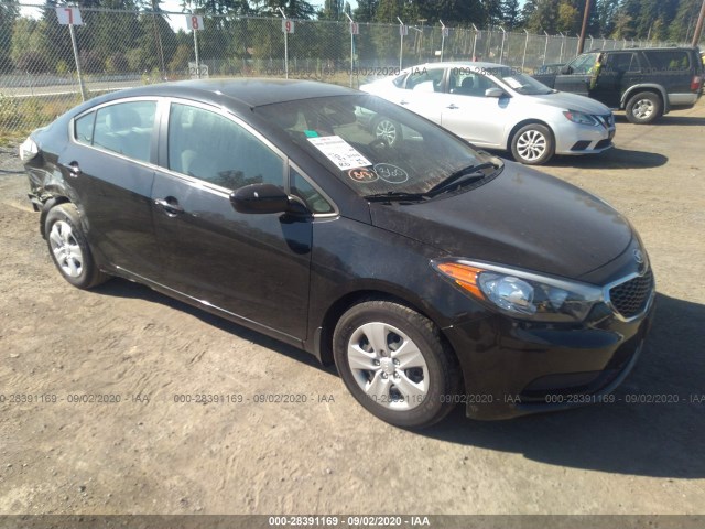 KIA FORTE 2015 knafk4a62f5262853