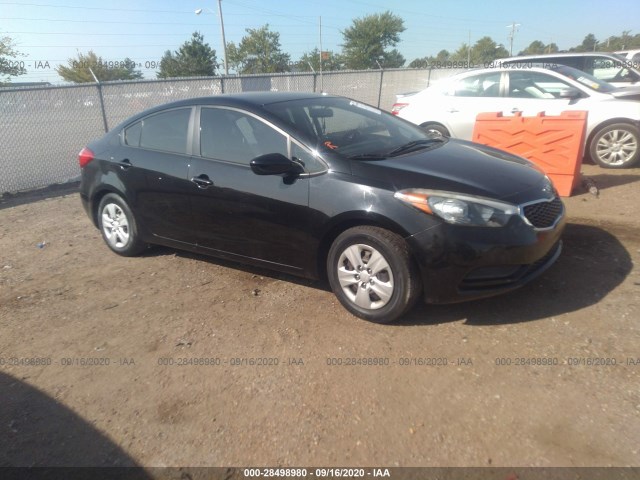 KIA FORTE 2015 knafk4a62f5279345