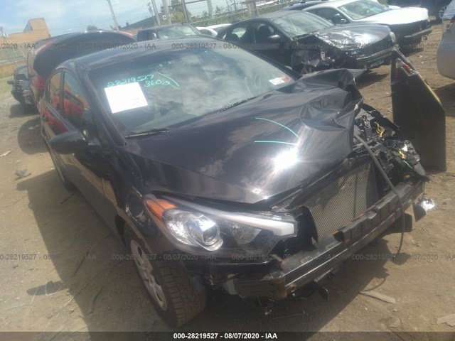 KIA FORTE 2015 knafk4a62f5309752