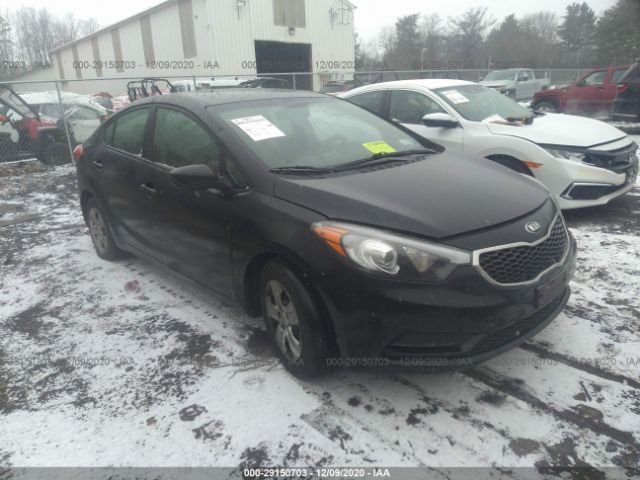 KIA FORTE 2015 knafk4a62f5310626