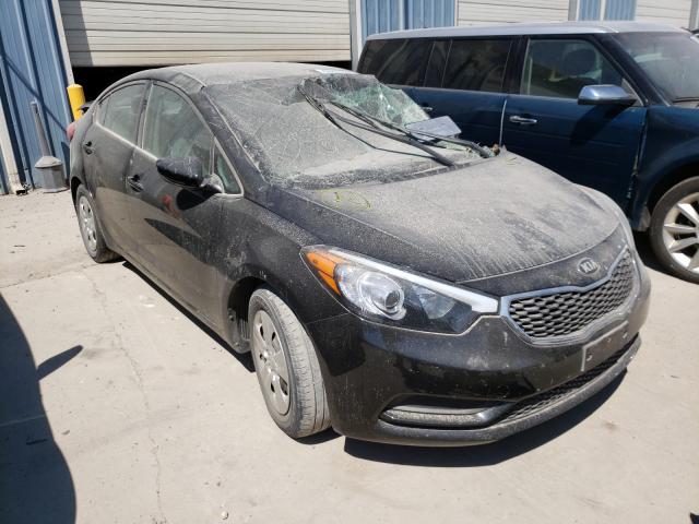 KIA FORTE LX 2015 knafk4a62f5374892