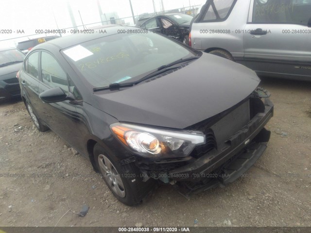 KIA FORTE 2015 knafk4a62f5419586